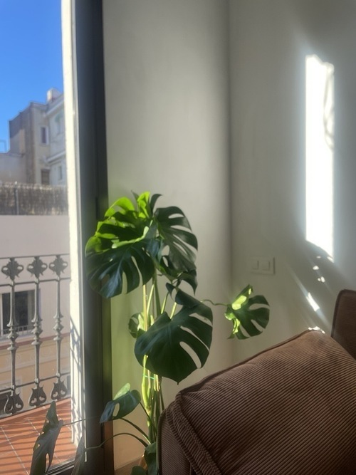 Room in a 2-person shared flat in Sants-Montjuïc · 2