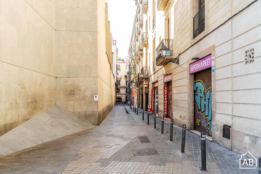 Furnished 2-bedroom flat in Ciutat Vella, 42 m² · 2
