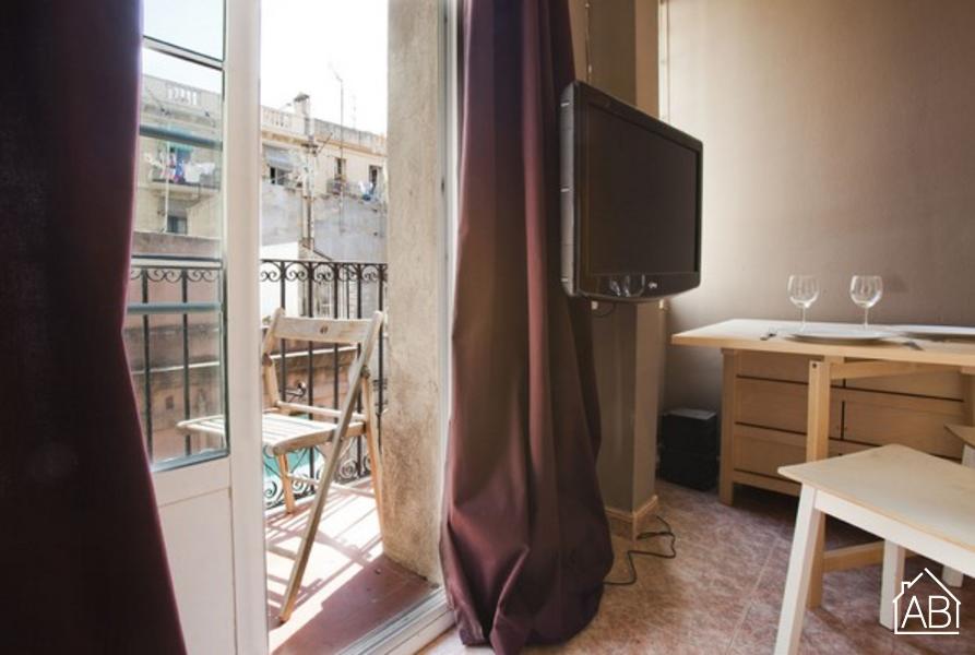 Furnished 2-bedroom flat in Ciutat Vella, 29 m² · 4