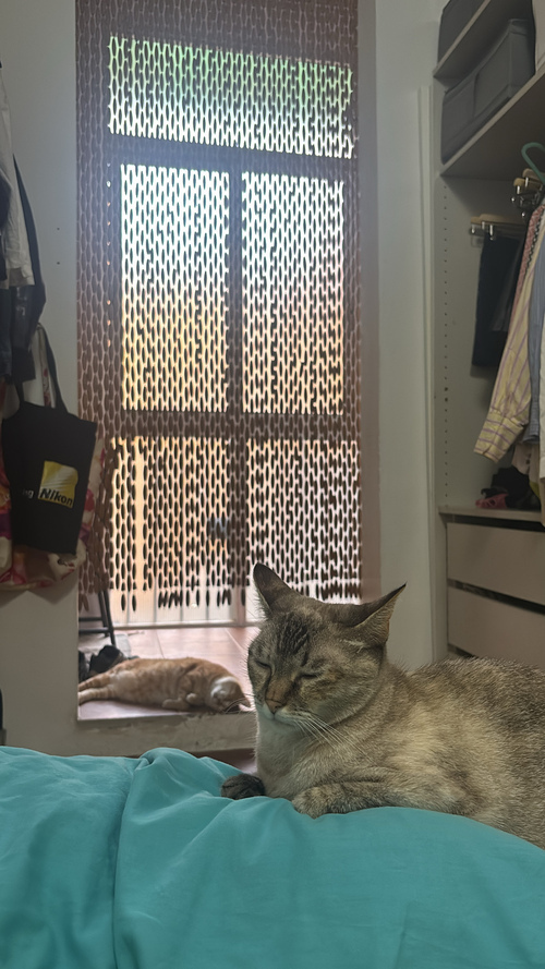 Habitación en piso compartido de 3 personas en Gràcia · 3