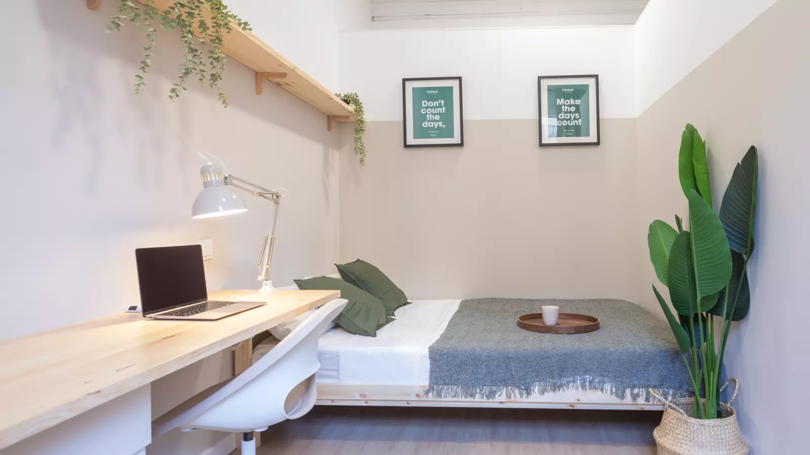 Furnished room in a shared flat in Eixample · 2