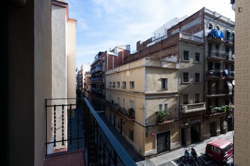 Furnished room in a 3-person shared flat in Sants-Montjuïc · 4