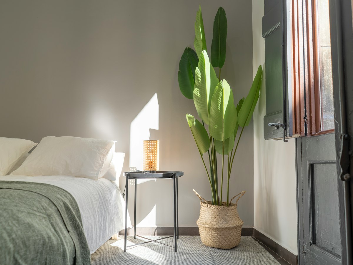 Furnished room in a 5-person shared flat in Ciutat Vella · 4