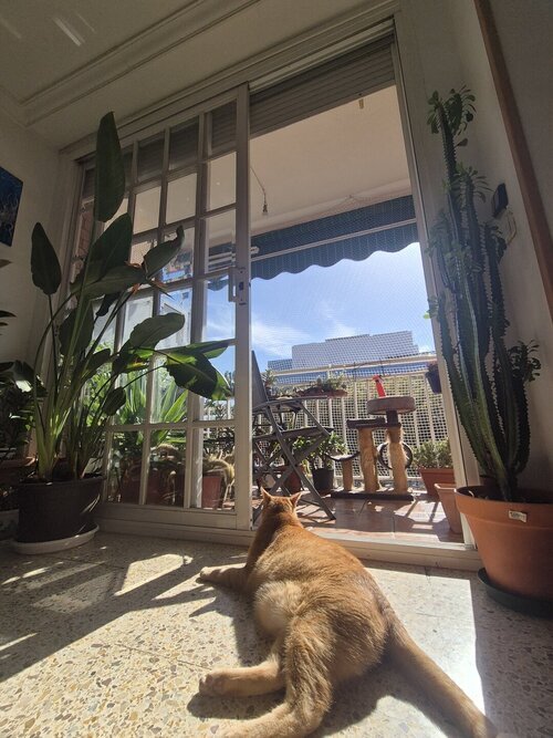 Foto del anuncio