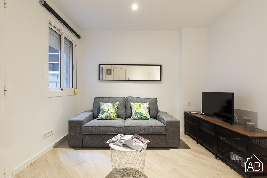 Piso de 3 dormitorios amueblado en Sants-Montjuïc, 43 m² · 2