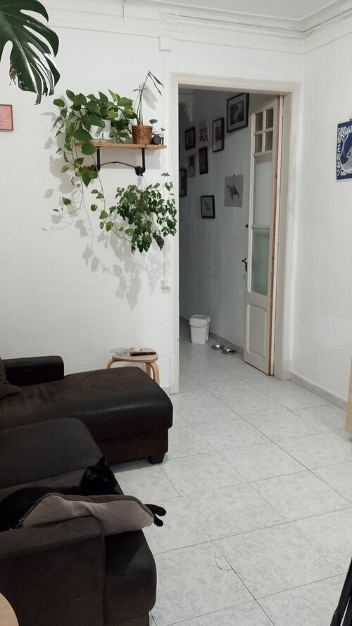 Room in a 4-person shared flat in Gràcia · 4