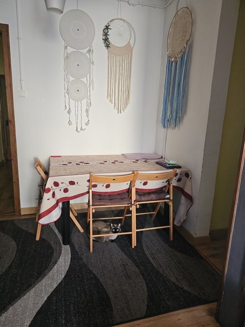 Room in a 3-person shared flat in Eixample · 4