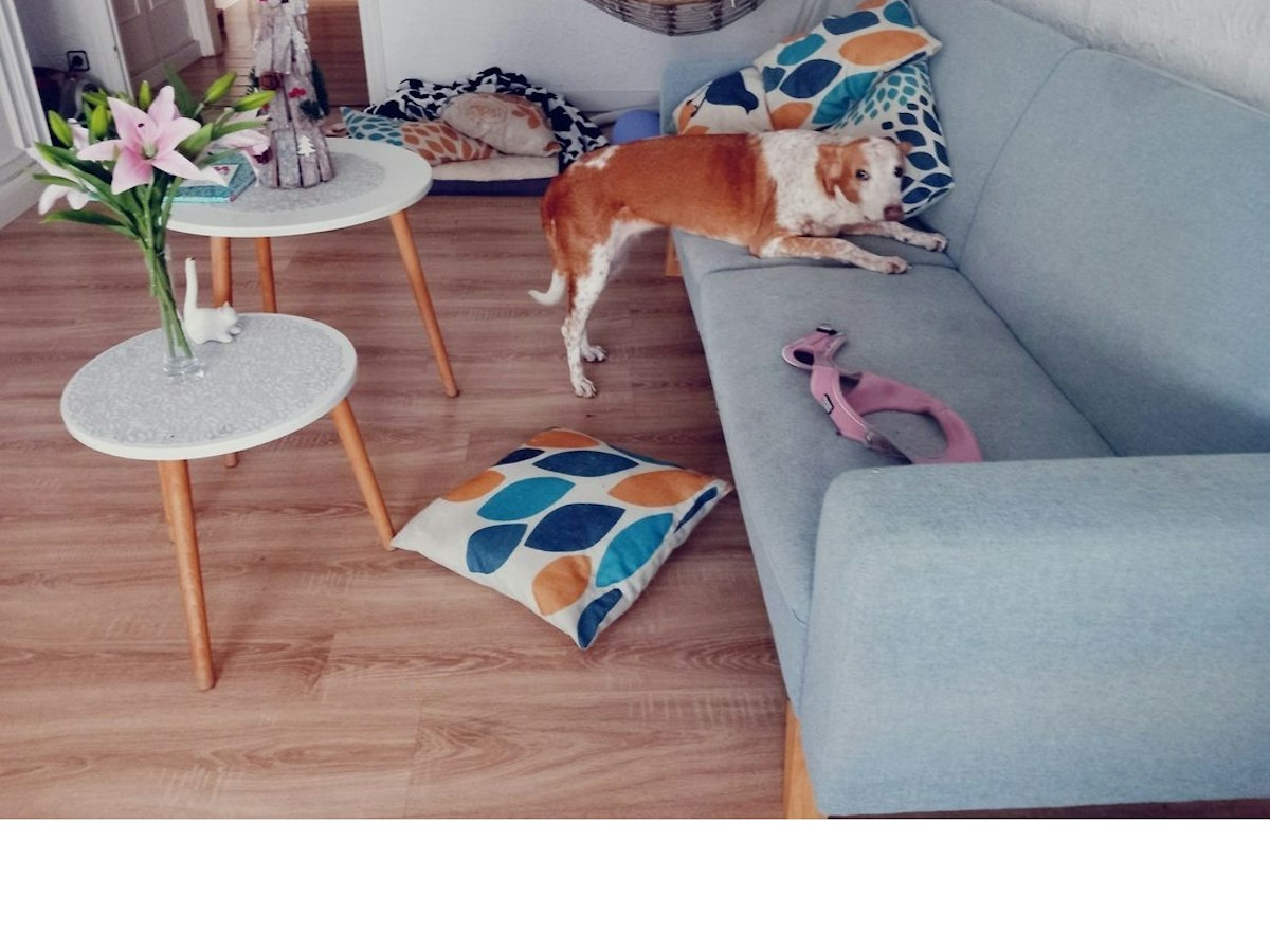 Habitación amueblada en piso compartido de 2 personas en Eixample · 2