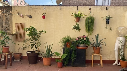 Room · Ciutat Vella