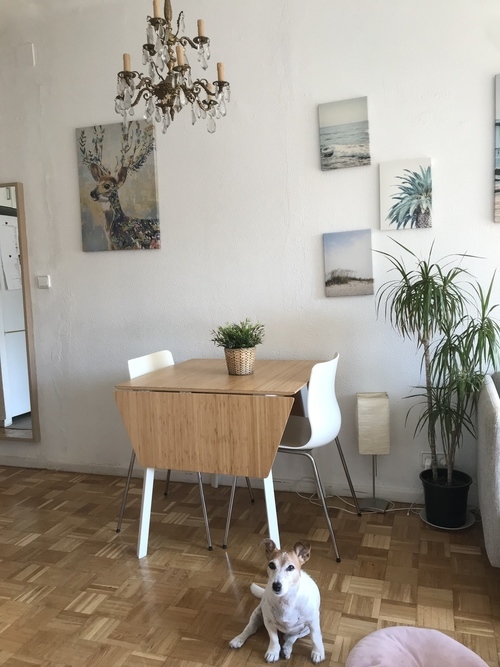 Room in a 3-person shared flat in Horta-Guinardó · 2
