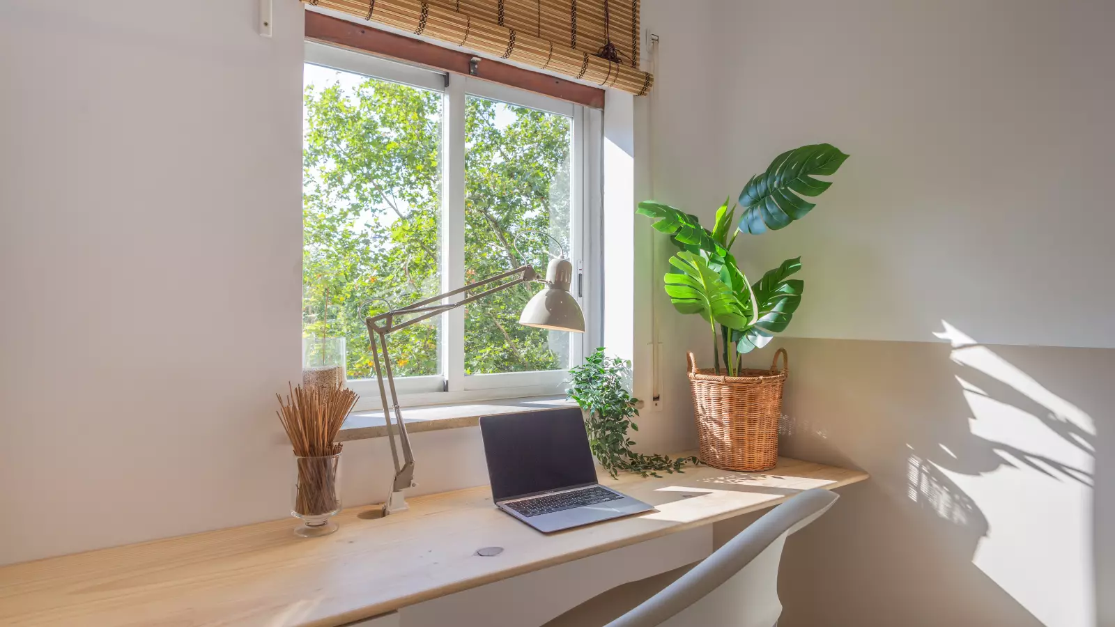 Furnished room in a 7-person shared flat in Sants-Montjuïc · 4