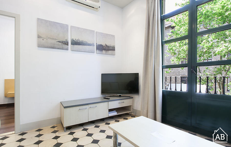 Furnished 2-bedroom flat in Ciutat Vella, 49 m² · 3