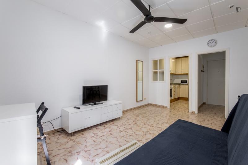 Furnished 1-bedroom flat in Ciutat Vella · 3