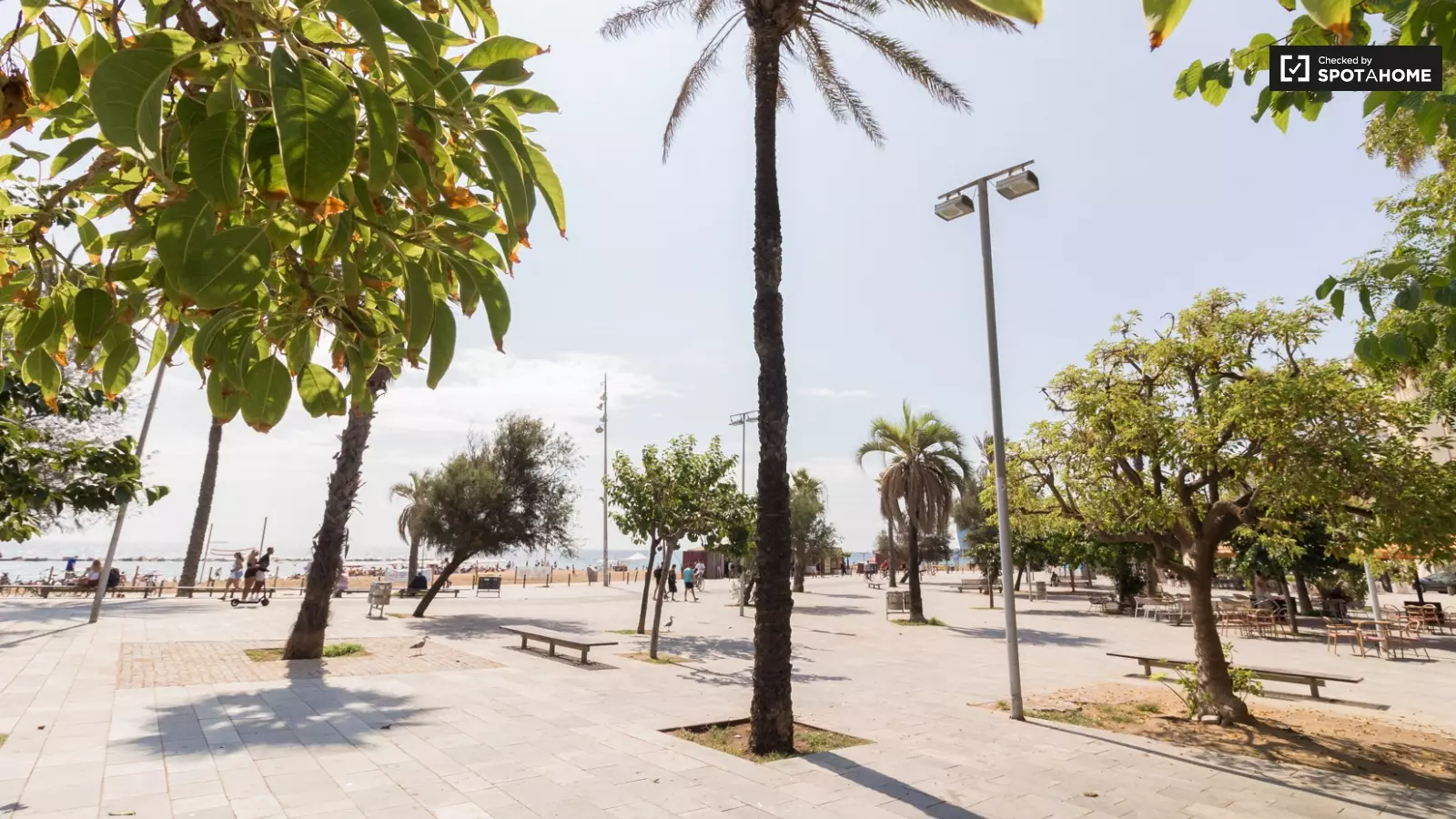 Piso de 1 dormitorio amueblado en Ciutat Vella, 37 m² · 4