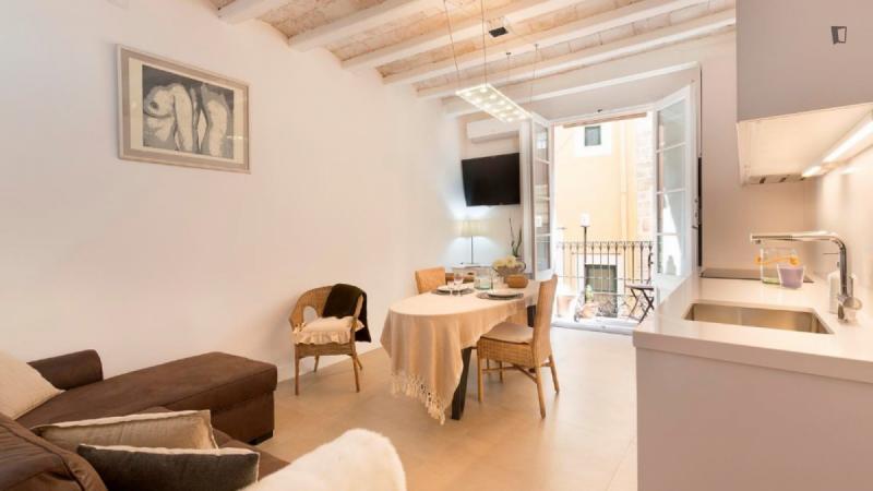 Piso de 1 dormitorio amueblado en Ciutat Vella · 2
