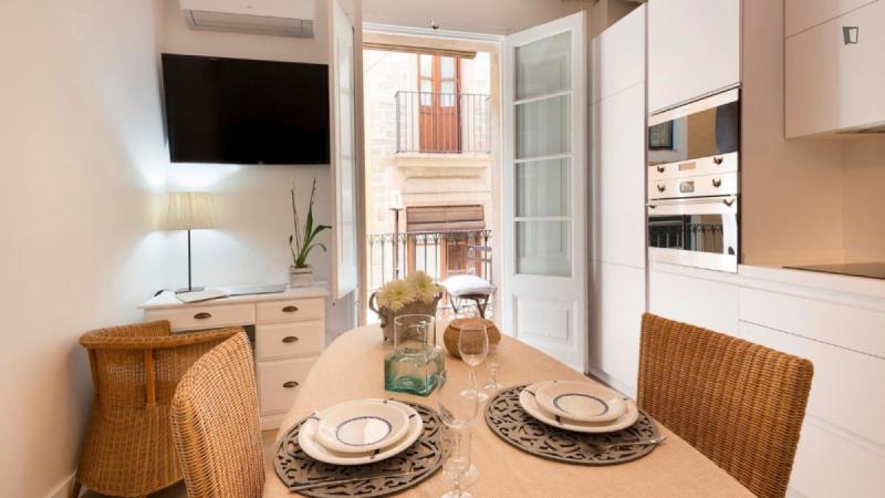 Piso de 1 dormitorio amueblado en Ciutat Vella · 4