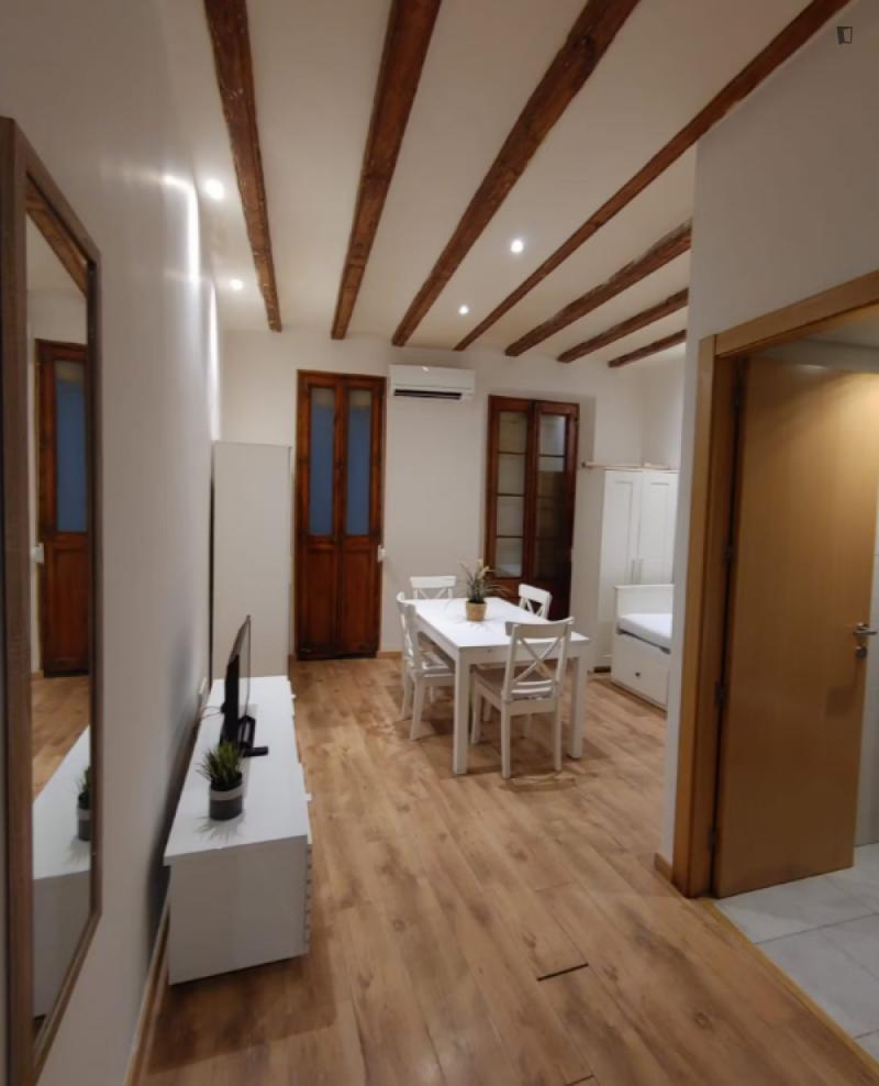 Furnished 1-bedroom flat in Ciutat Vella · 2