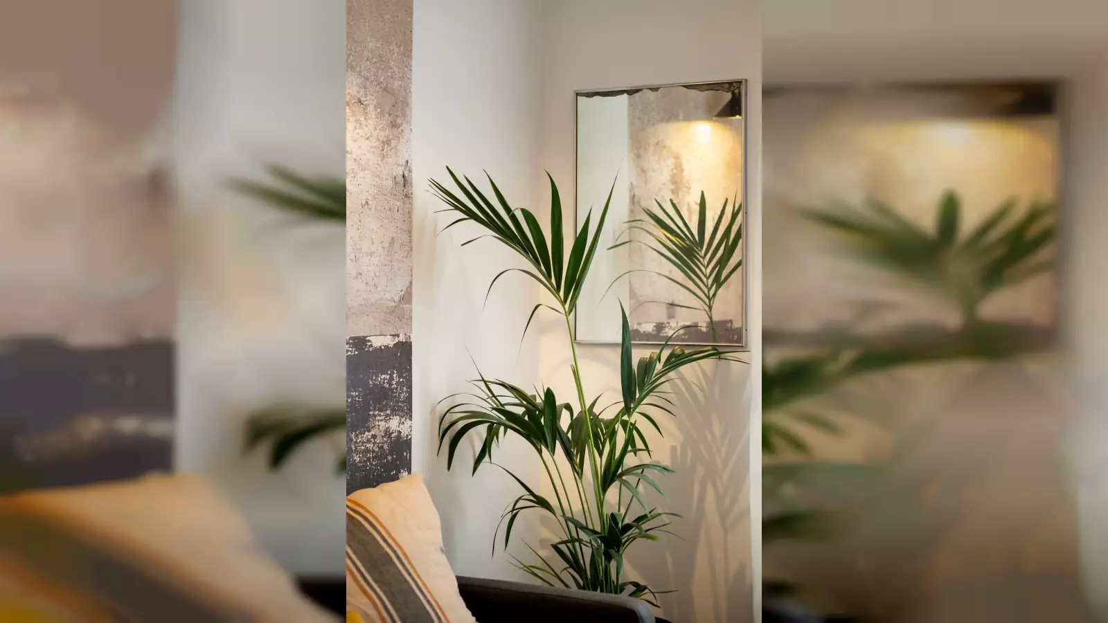 Piso de 1 dormitorio amueblado en Gràcia, 50 m² · 3
