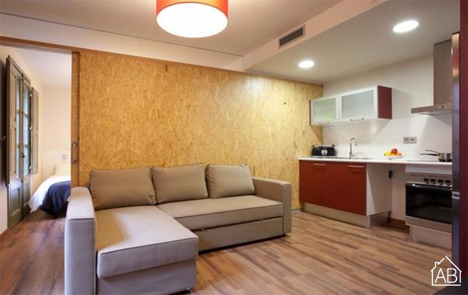 Furnished 4-bedroom flat in Ciutat Vella, 47 m² · 4