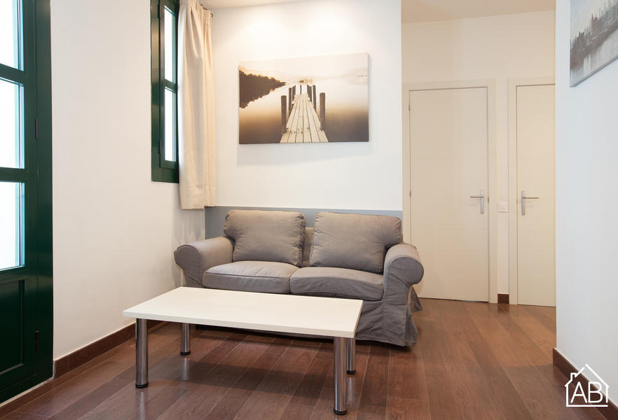 Furnished 3-bedroom flat in Ciutat Vella, 47 m² · 3