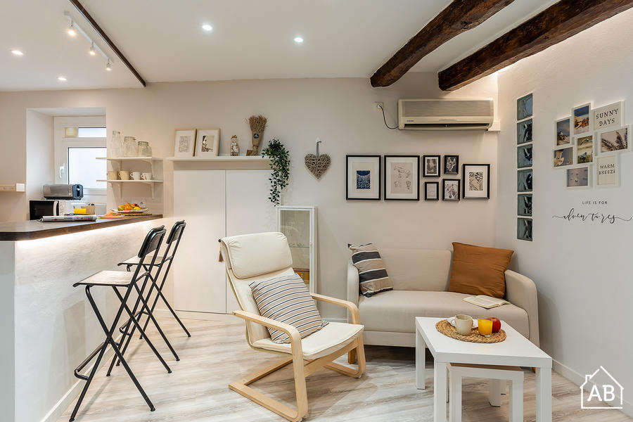 Furnished 2-bedroom flat in Ciutat Vella, 51 m² · 4