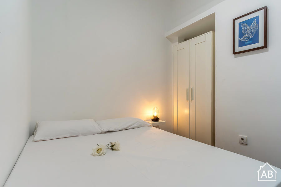Furnished 3-bedroom flat in Ciutat Vella, 40 m² · 4