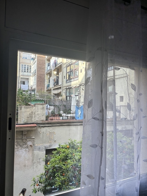 Foto del anuncio
