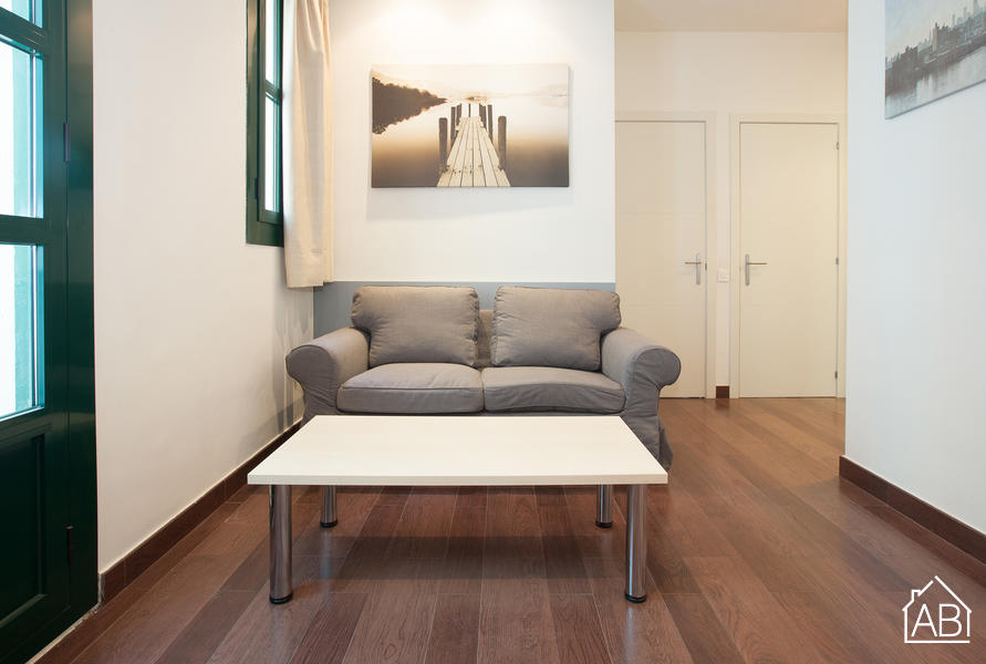 Furnished 3-bedroom flat in Ciutat Vella, 44 m² · 4