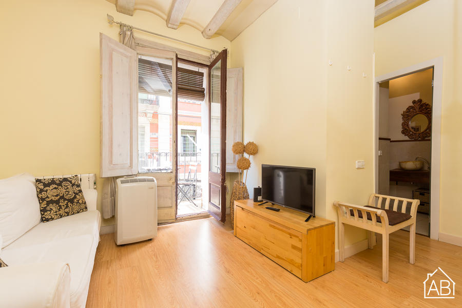 Furnished 1-bedroom flat in Ciutat Vella, 35 m² · 3